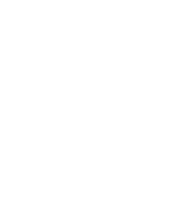 Placeholder for alt text