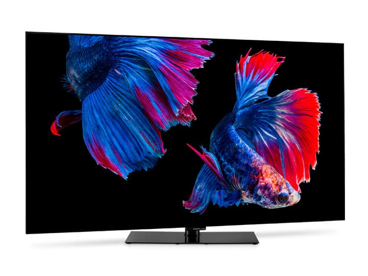 Ein Flachbildfernseher, auf dem zwei farbenfrohe Kampffische mit blauen und roten Flossen auf schwarzem Hintergrund zu sehen sind.