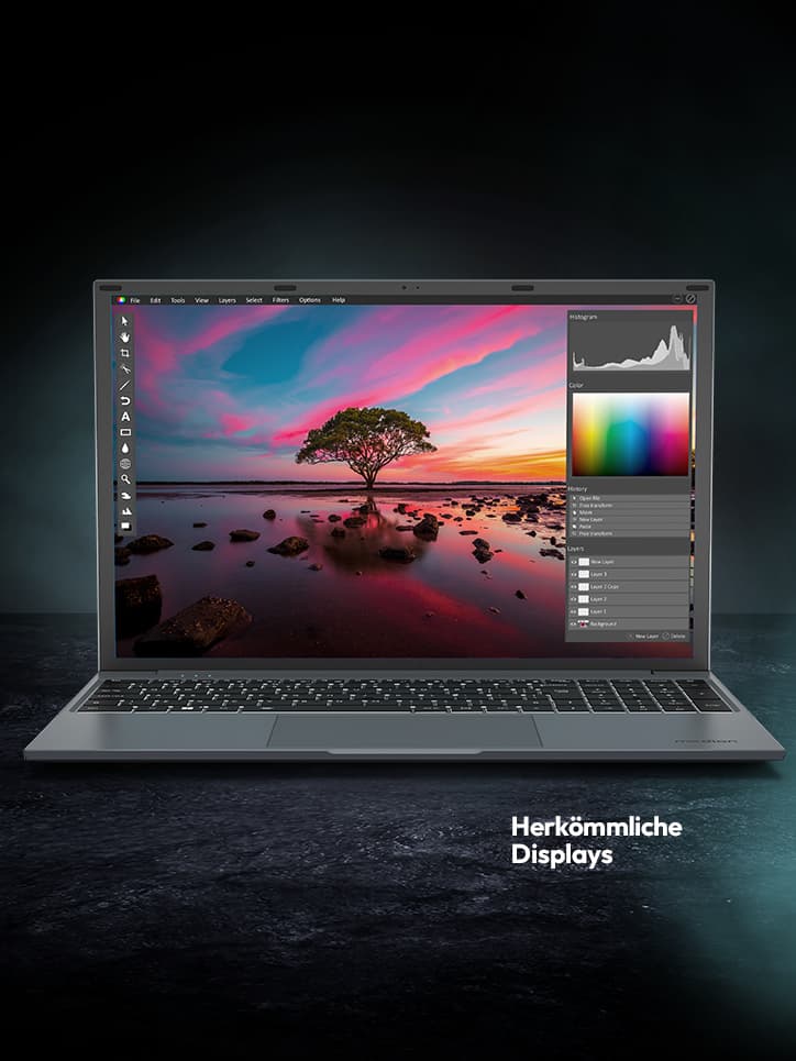 sprchrgd 16 Laptop aufgeklappt. Zeigt ein Foto Editor Programm mit einer Naturszene mit einem Baum und einem Sonnenuntergang. Es zeigt die Darstellung bei herkömmlichen Displays.