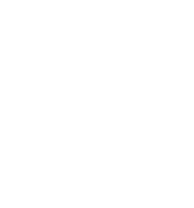 Placeholder for alt text