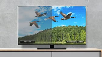 Fernseher mit geteiltem Bildschirm und Vergleich der Bildqualität. Links: Standard, verschwommene Gänse und Bäume. Rechts: schärfere Gänse und Bäume mit Micro Dimming.