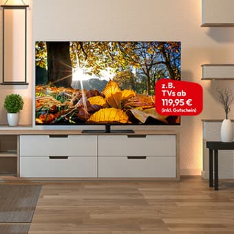 Flachbildfernseher auf Sideboard in modernem Wohnzimmer, zeigt herbstliche Waldszene mit Sonnenlicht und buntem Laub. Rotes Label „z. B. TVs ab 119,95 € (inkl. Gutschein)“.