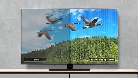 Fernseher mit geteiltem Bildschirm und Vergleich der Bildqualität. Links: Standard, verschwommene Gänse und Bäume. Rechts: schärfere Gänse und Bäume mit Micro Dimming.