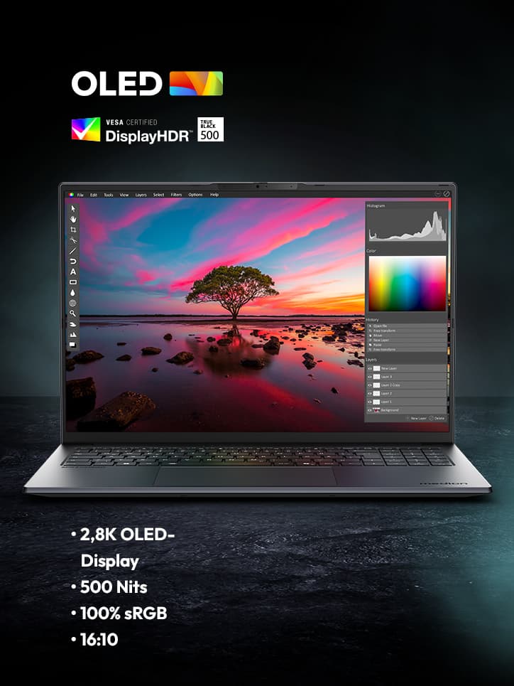 sprchrgd 16 Laptop aufgeklappt. Zeigt ein Foto Editor Programm mit einer Naturszene mit einem Baum und einem Sonnenuntergang. Es zeigt die Darstellung bei herkömmlichen Displays.
